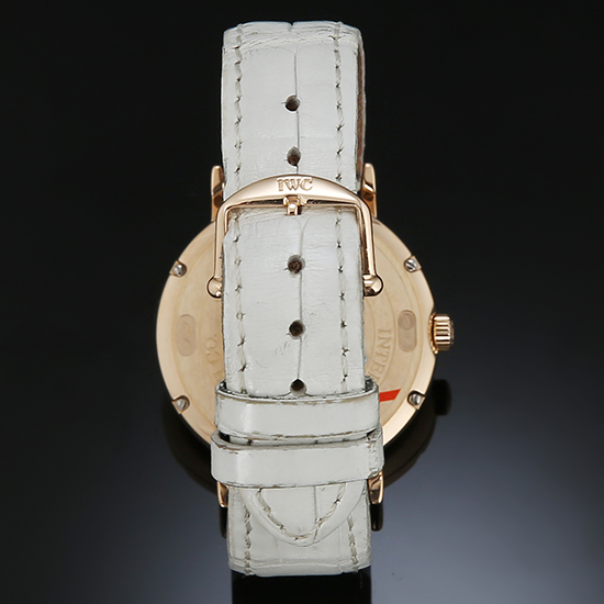 IWC(USED) 포르토피노 IW356403