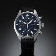 IWC(USED)