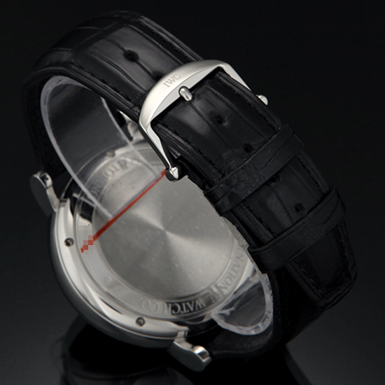 IWC(USED) 포루투피노 IW391008