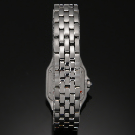 CARTIER(USED)산토스 팬더 스몰