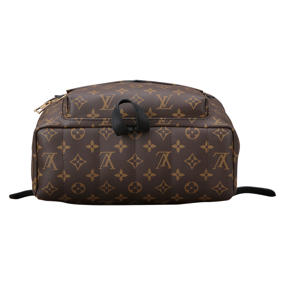 LOUIS VUITTON(USED)루이비통 모노그램 팜 스프링스 백팩MM