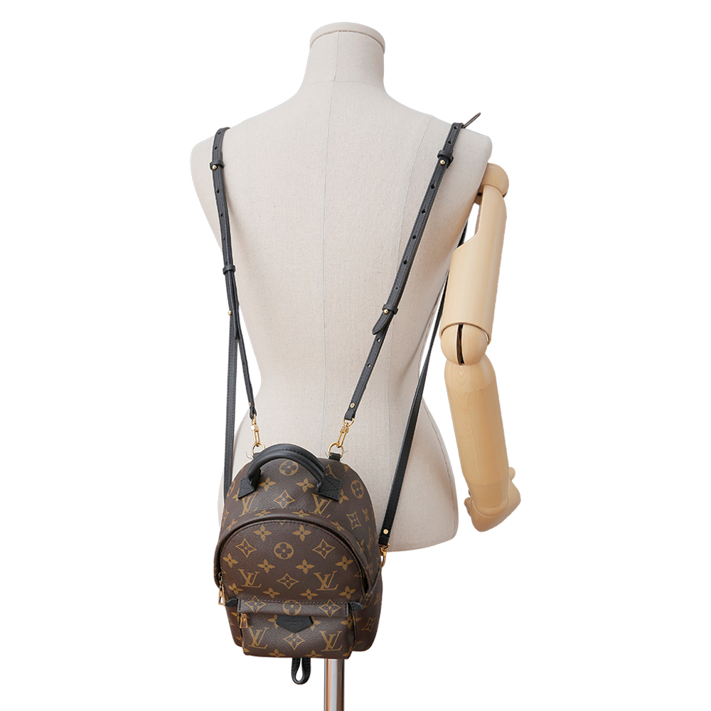 LOUIS VUITTON(USED)루이비통 팜 스프링스 미니 백팩